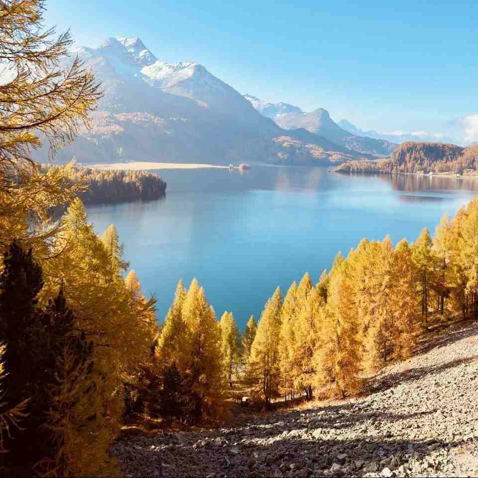آهنگ جدید  یهویی رفتی منو هی میپیچوندی تو مثل موهای فرت
